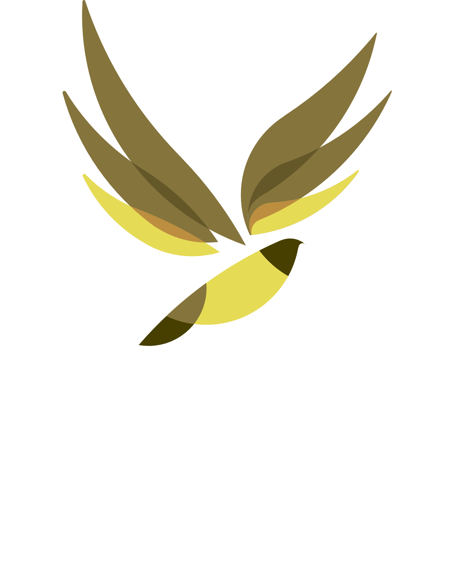 Acauã